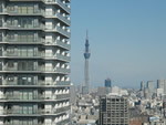 20110214.jpg