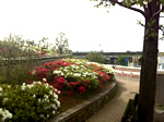 20110621.jpg